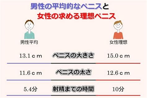 平均チン長|ちんこの大きさ・サイズの平均値｜ペニス勃起時の太 